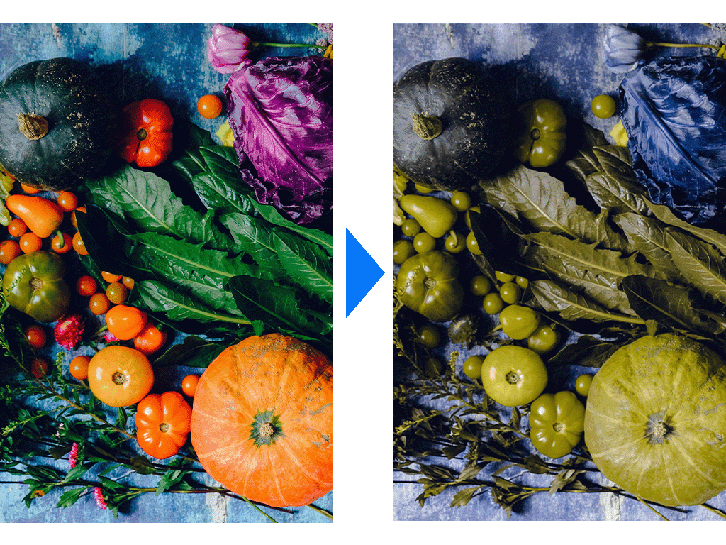 野菜の画像。色覚異常の方の見え方のイメージ