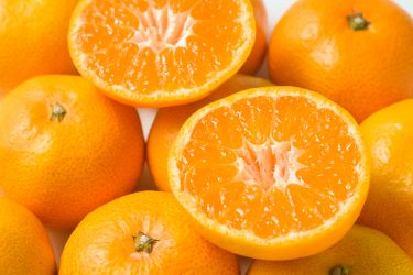 色の豆知識 ／ 日本の伝統色 甕覗（かめのぞき）色