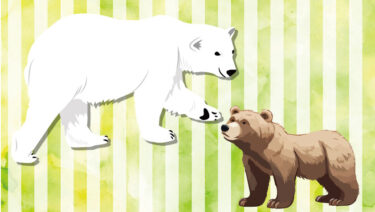 色の豆知識29 ／ 熊の色